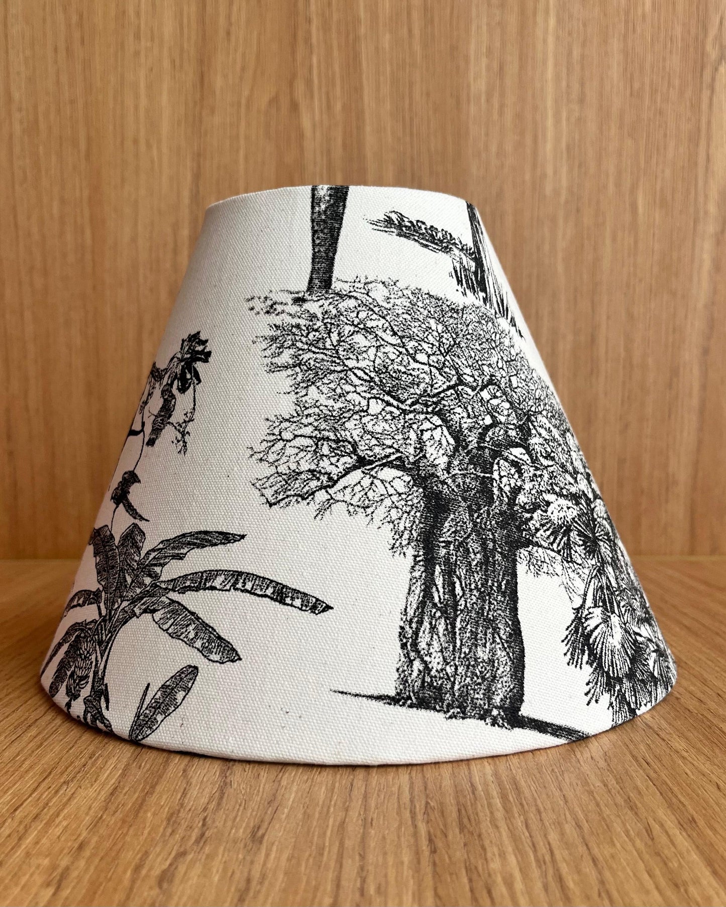 Cúpula Macacos Safari